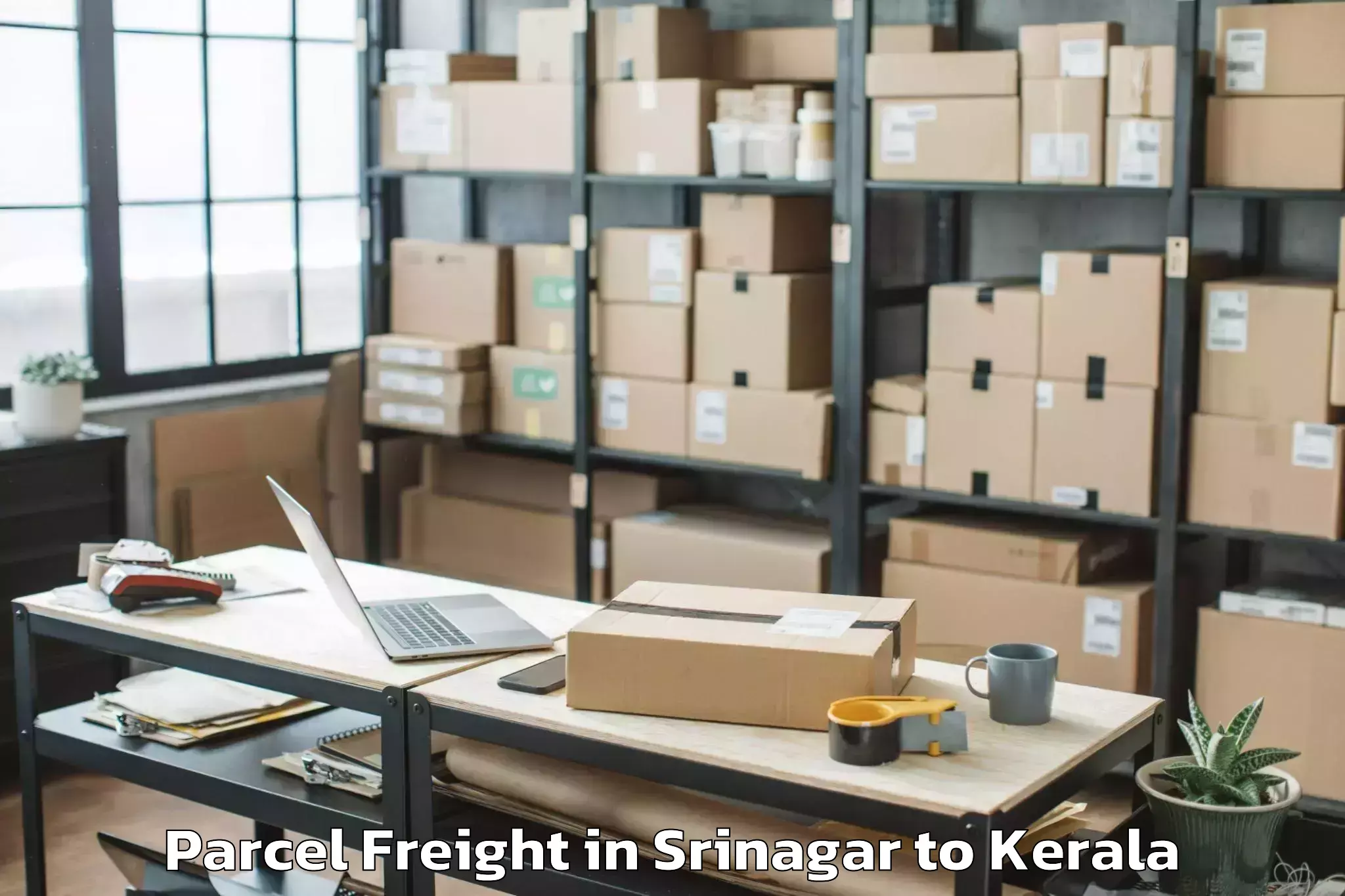 Affordable Srinagar to Pathanapuram Parcel Freight